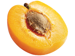 apricot