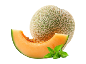 cantaloup melon & mint