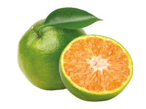 Mandarina verde