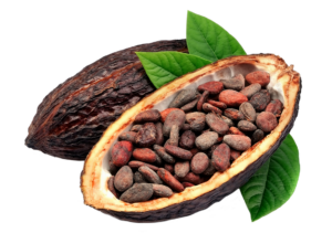 Cacao 100% Sur del Lago