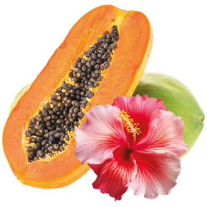 Papaya, hibiscus y lima