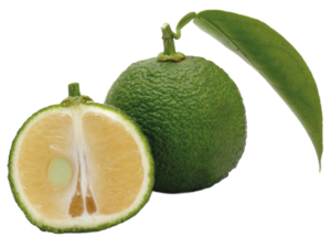 Yuzu Verde